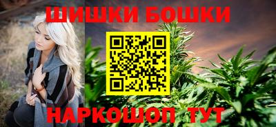 МДПВ Татарск