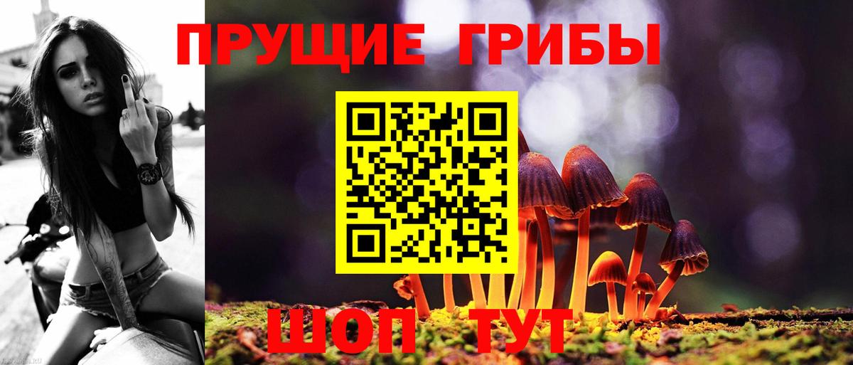 Галлюциногенные грибы мухоморы Новоалтайск
